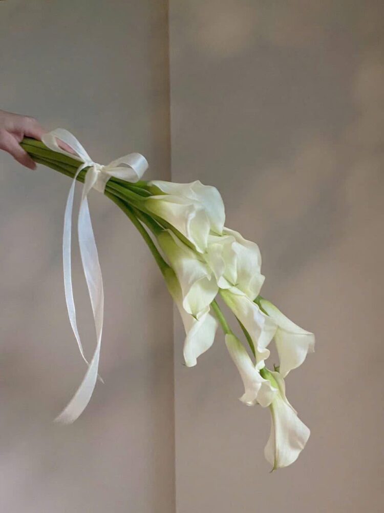 Bó hoa cưới callalily Hà Lan – thanh thoát phong cách Tây hoa cưới callalily trắng nhập khẩu Hà Lan dáng dài tinh tế