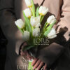 TULIPT2 Bó Hoa Cưới Tulip Trắng Nhập Khẩu Hà Lan