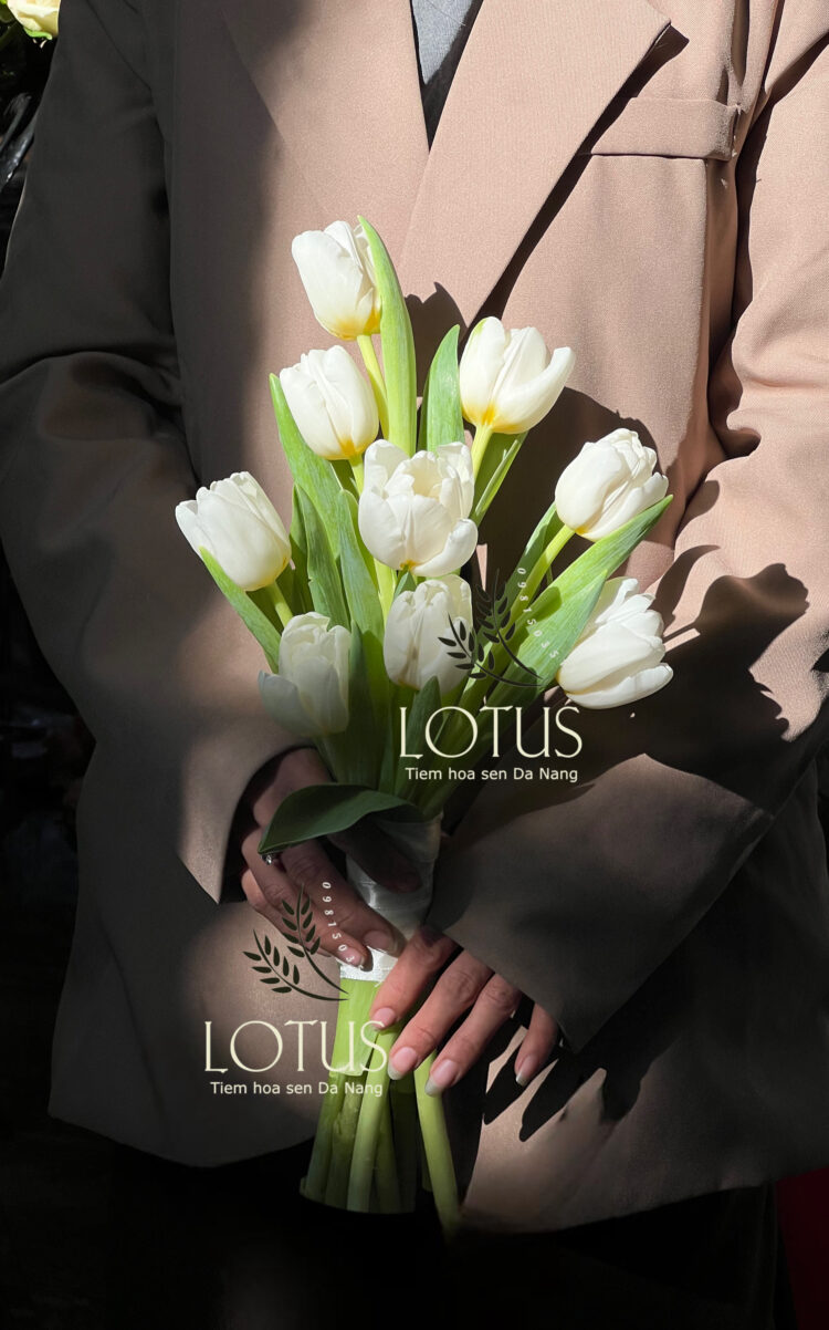 TULIPT2 Bó Hoa Cưới Tulip Trắng Nhập Khẩu Hà Lan