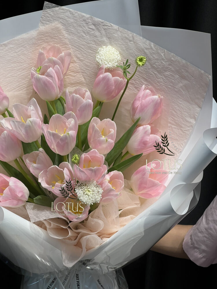 Bó Hoa Tulip Hồng 18 Bông Phối Thúy Châu
